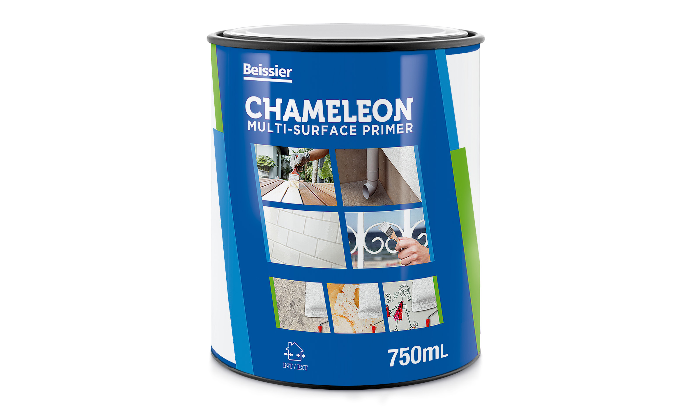 Chameleon Chameleon